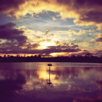 1920 x 1080 HD Wallpapers 1995